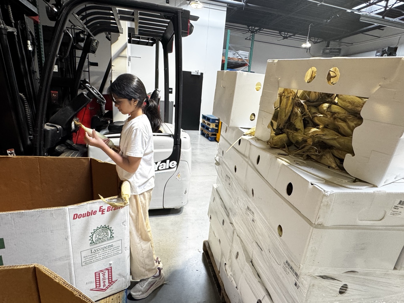 The husking room at 6 Stones, boxes and a forklift lined up next to the pallet of corn